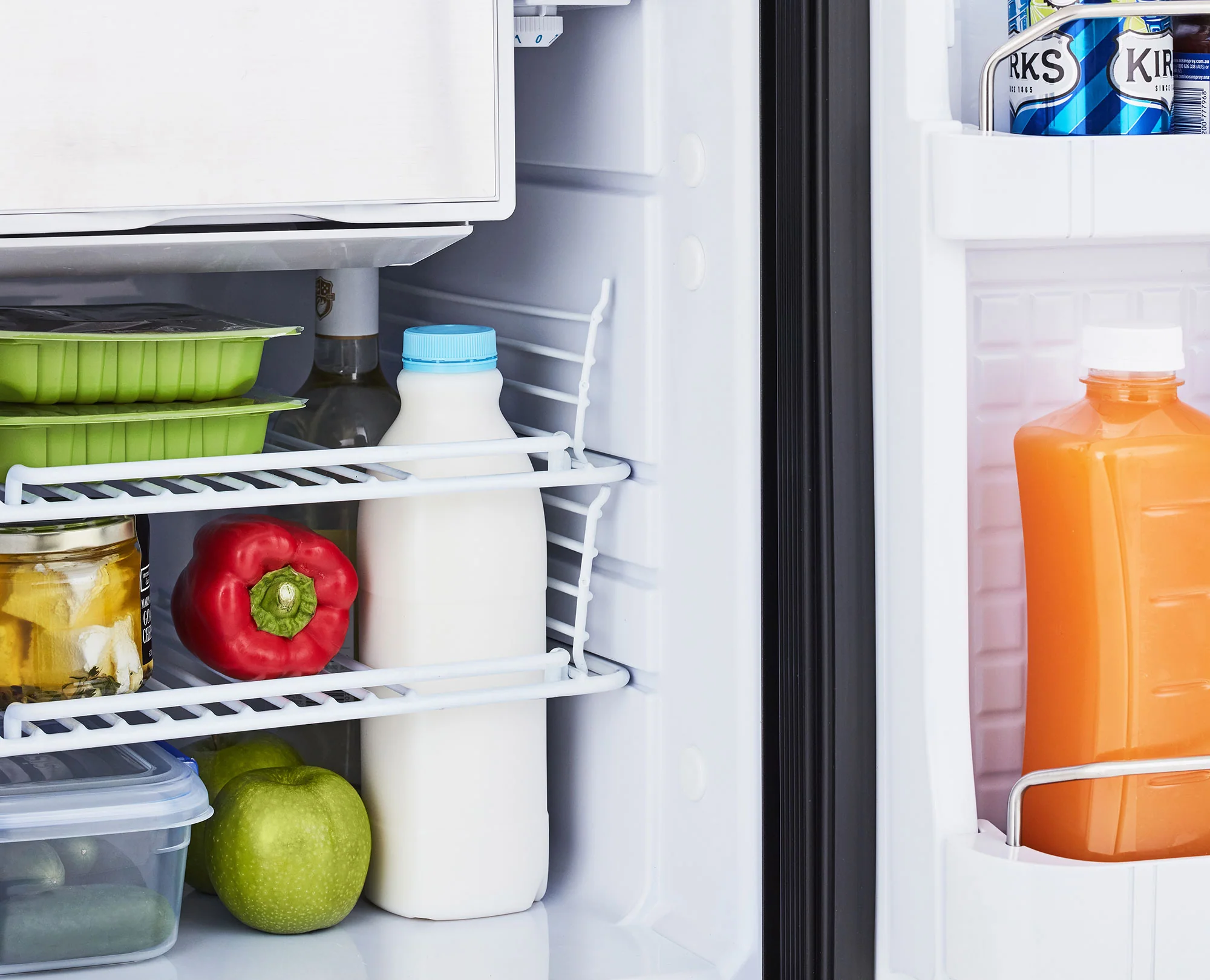 Bushman DC50X 12/24v Upright Fridge/Freezer 50L - Image 6